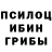Псилоцибиновые грибы GOLDEN TEACHER Moto Fil